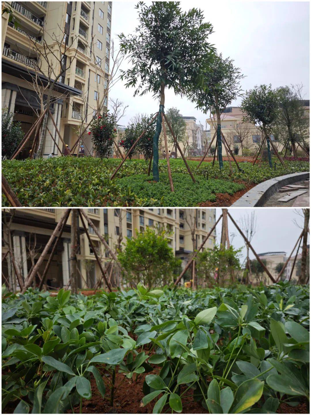 640 (5)_副本 640 (5)_副本