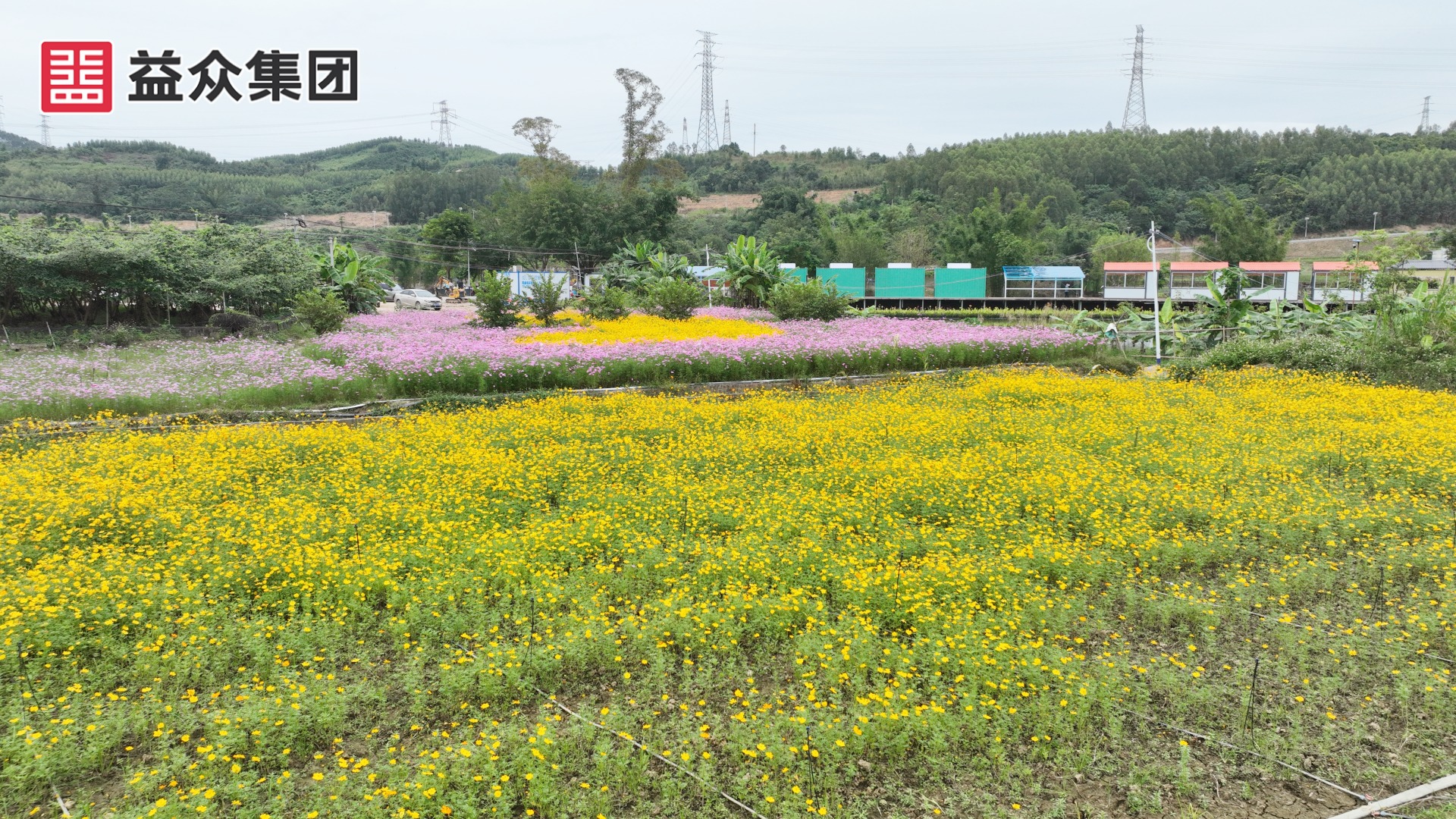 DJI_0301_副本 DJI_0301_副本